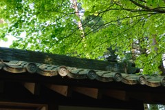 清水寺　仁王像屋根