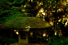 静まり返る神社