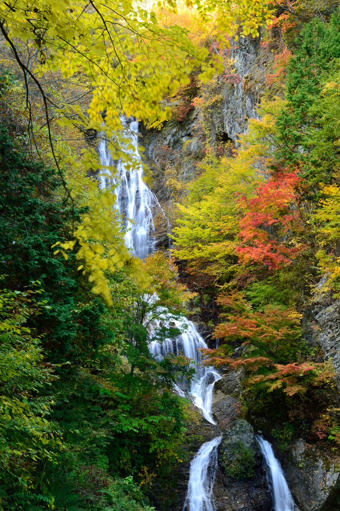 秋色に染まる　唐沢の滝