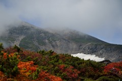 乗鞍大雪渓と紅葉