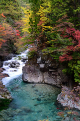 秋の阿寺渓谷