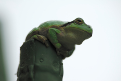 眺め