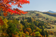 山田牧場