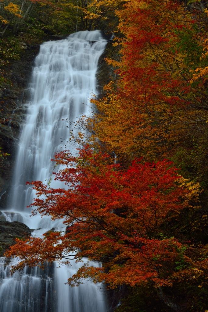 唐沢の滝２０１３