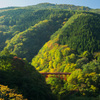 高山村　高井橋