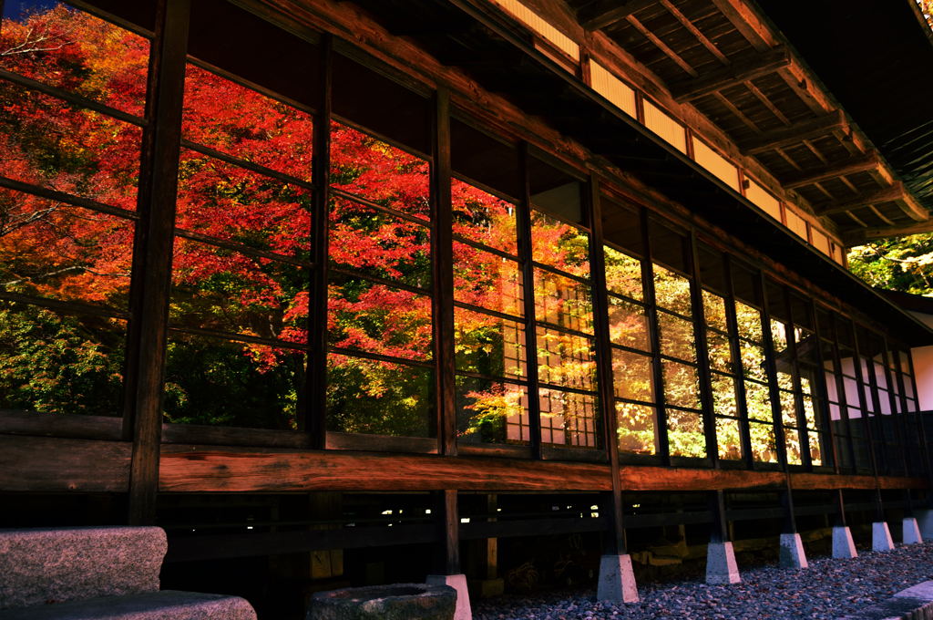 霊松寺紅葉