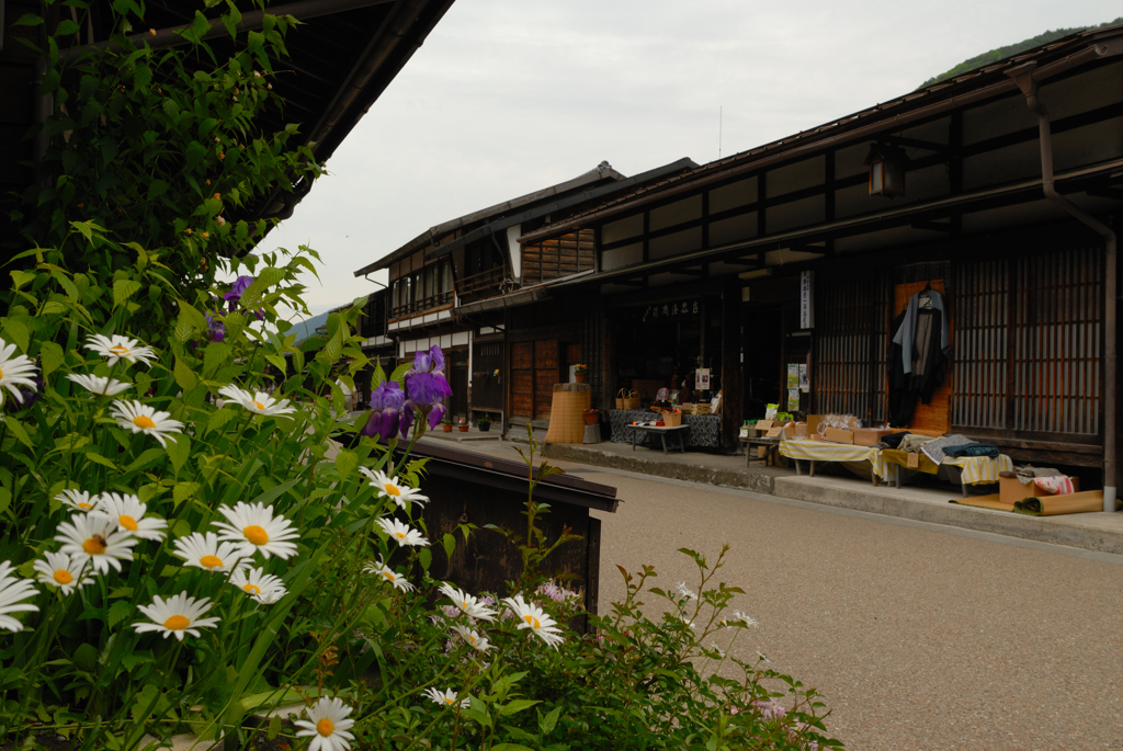 奈良井宿と花