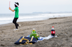 夏のそれ