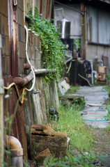 養老渓谷にて