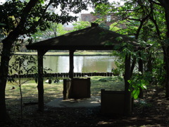 DSCN0227[1]