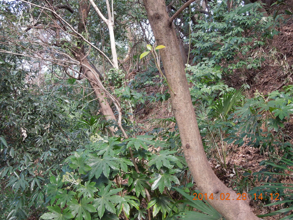 DSCN0412