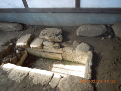 DSCN0418