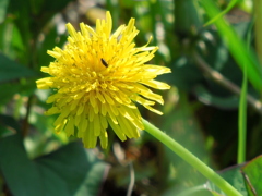 DSCN0213[1]