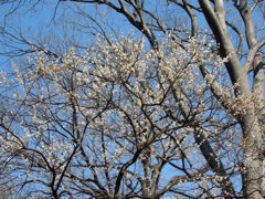 DSCN0105[2]