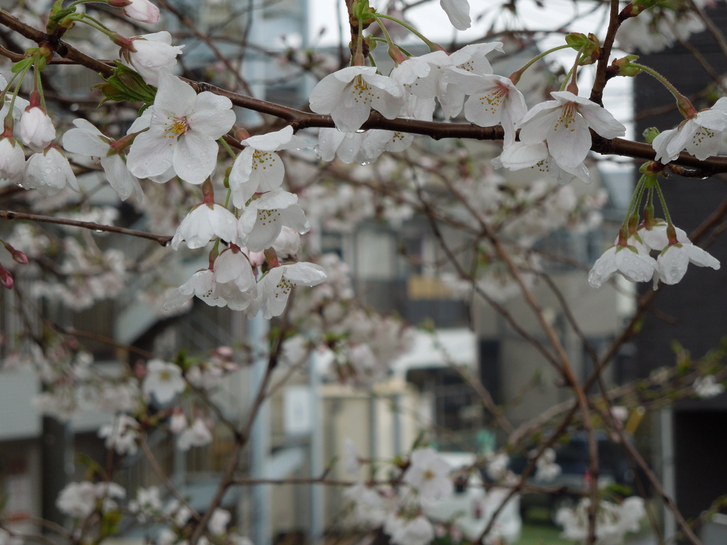 DSCN0123[2]
