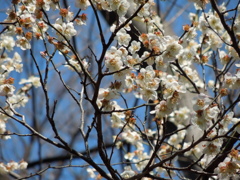 DSCN0104[1]