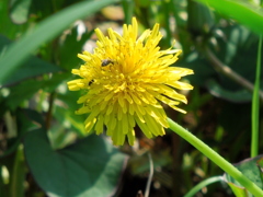 DSCN0215[1]