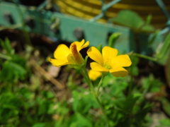 DSCN0212[1]