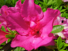 DSCN0211[1]