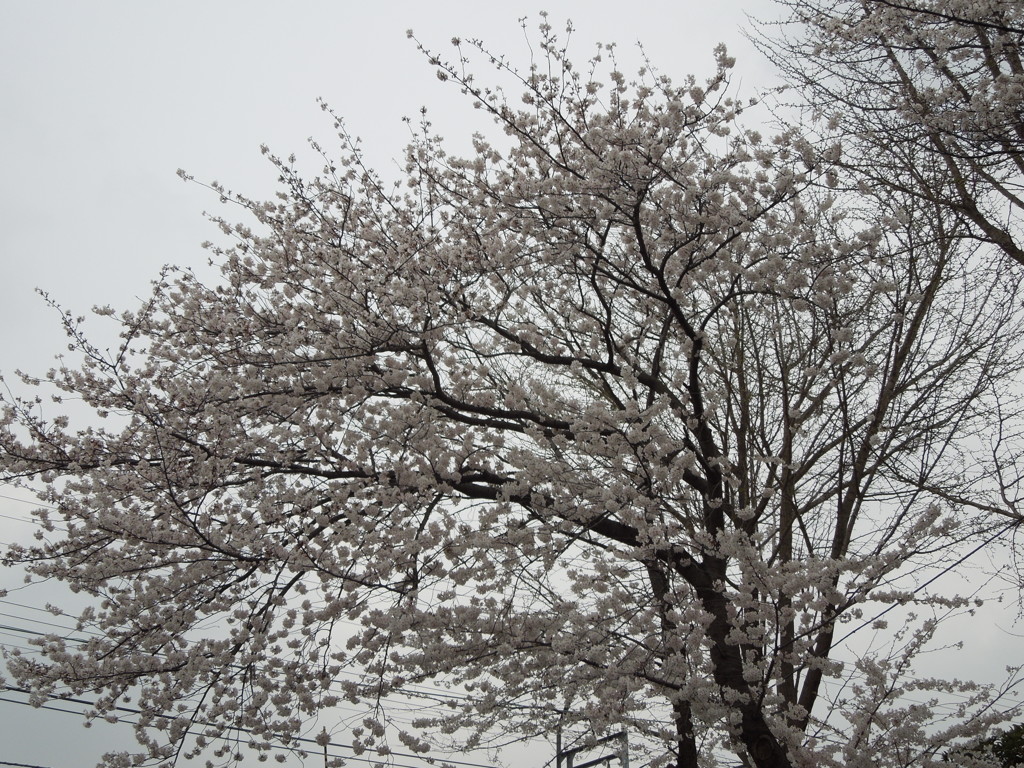 DSCN0129[1]