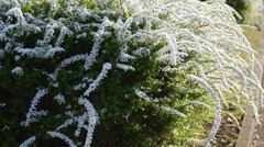 DSC00043