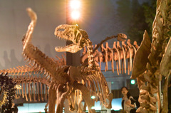 福井県立恐竜博物館３