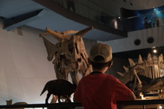 福井県立恐竜博物館５