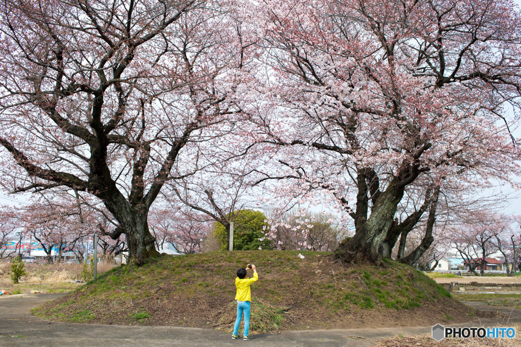 桜塚古墳、満ちる。