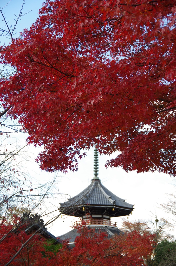 深紅の塔