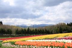 白山連峰をのぞむ