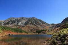 立山-秋-