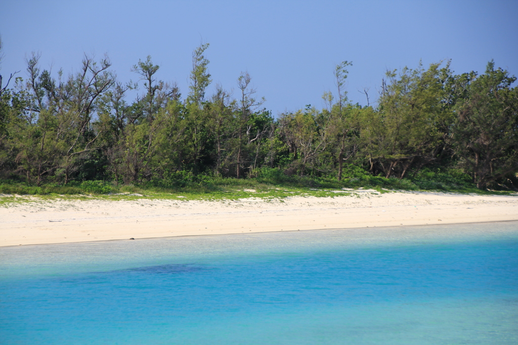 paradise**1