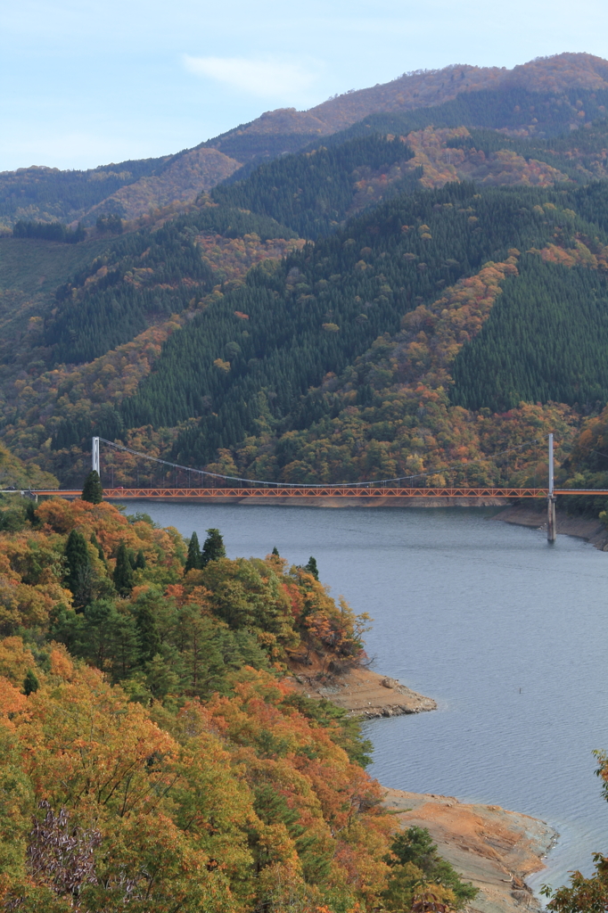 夢の架け橋