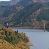 夢の架け橋