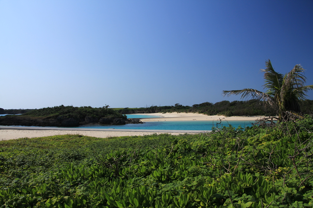 paradise**3