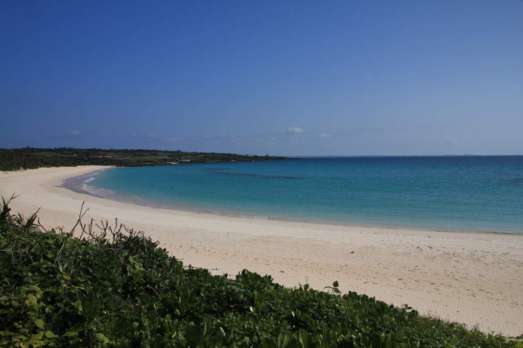 paradise