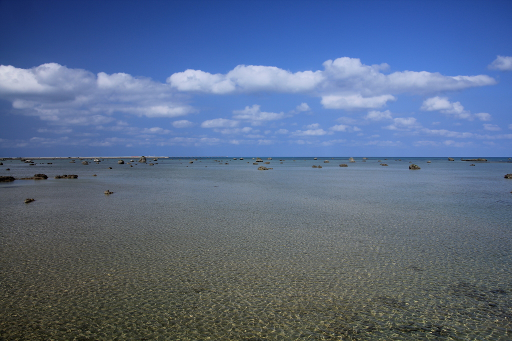 paradise**6