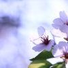 散花