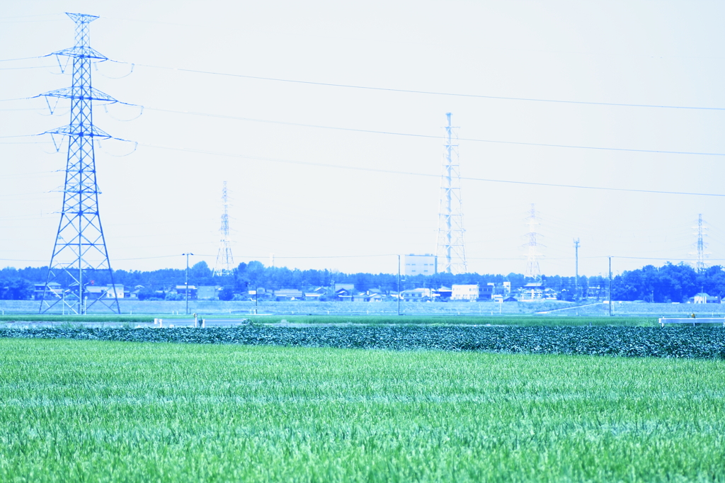 *みどり*