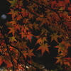 静かな囁き