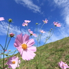 両手広げて