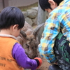 FUREAI