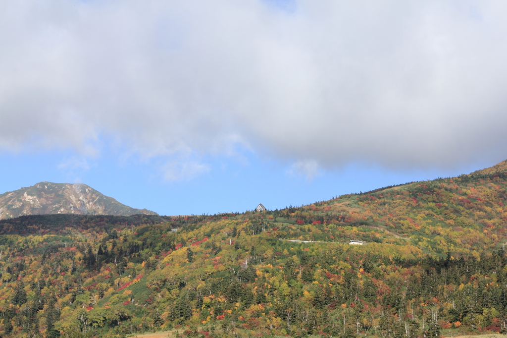 立山-弥陀ヶ原の紅葉-