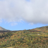 立山-弥陀ヶ原の紅葉-
