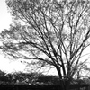 IMG_0687