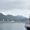 トリと軍艦