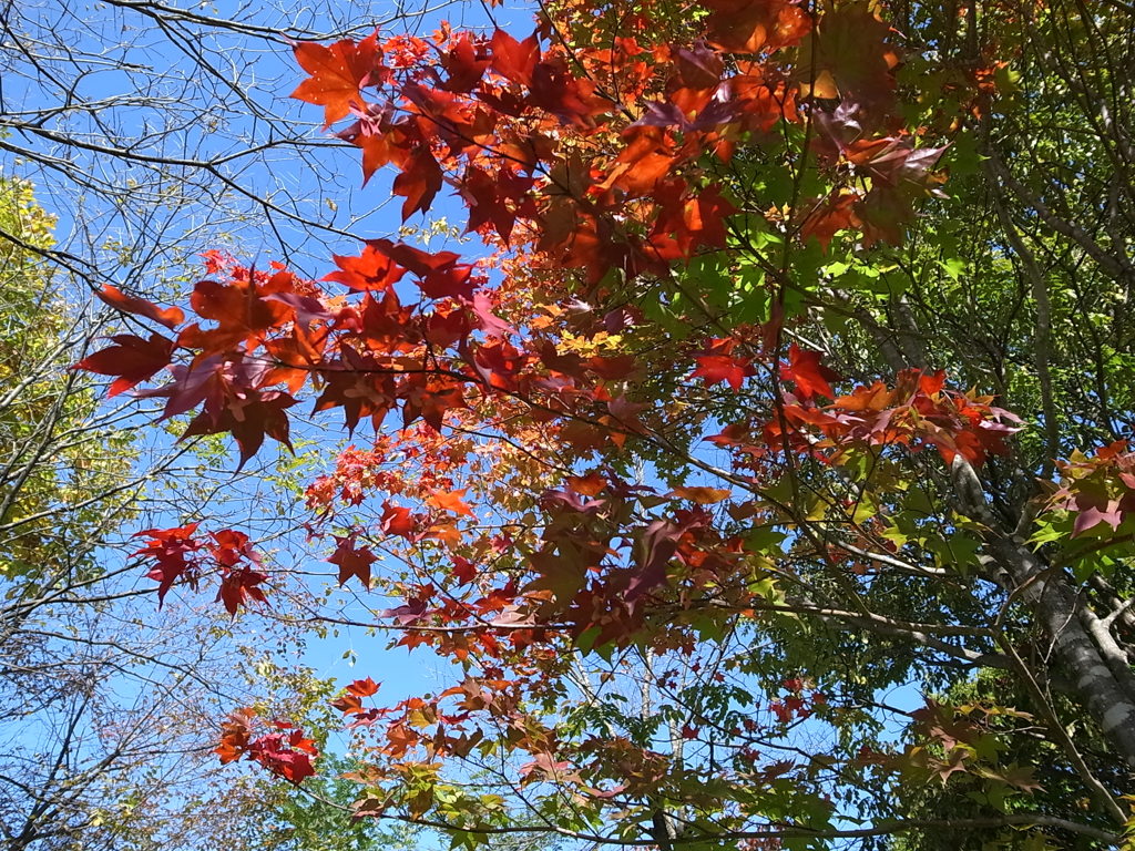 塩狩峠08