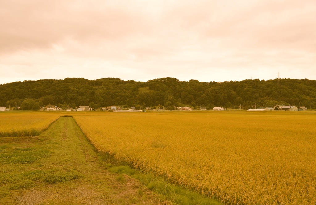 秋の旭川