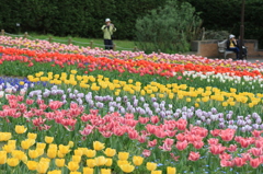 馬見丘陵公園
