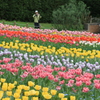 馬見丘陵公園
